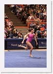 _MG_1348 * 2304 x 3456 * (3.74MB)