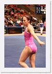 _MG_1377 * 2304 x 3456 * (3.62MB)