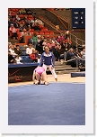 _MG_1415 * 2304 x 3456 * (3.82MB)