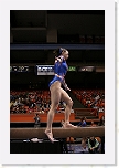 _MG_4533 * 2304 x 3456 * (3.03MB)