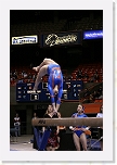_MG_4596 * 2304 x 3456 * (3.07MB)