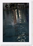 _N5K0148 * 2336 x 3504 * (3.44MB)