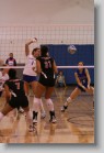 nmsu_2005_016 * 2304 x 3456 * (3.82MB)
