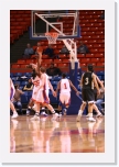 IMG_9953 * 2304 x 3456 * (3.65MB)