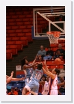 IMG_2149 * 2304 x 3456 * (3.25MB)