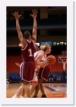 IMG_1510 * 2304 x 3456 * (3.23MB)