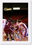 IMG_1541 * 2304 x 3456 * (3.19MB)