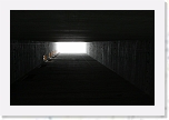 _N5K1231 * 3504 x 2336 * (2.37MB)