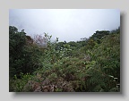 P2270032