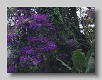P2270037