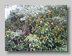 P2270038
