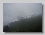 P3310033