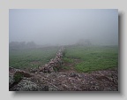P3310037