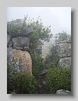 P3310067