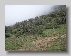 P4010135