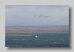 _MG_0533