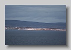 _MG_0595