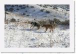 _MG_9314 * 3456 x 2304 * (4.26MB)