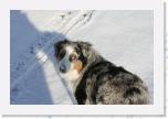 _MG_9347 * 3456 x 2304 * (2.32MB)