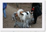 IMG_1849 * 3456 x 2304 * (4.19MB)