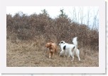 IMG_1855 * 3456 x 2304 * (3.8MB)