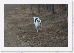 IMG_1862 * 3456 x 2304 * (3.72MB)