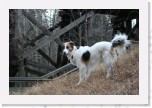 IMG_1874 * 3456 x 2304 * (3.8MB)