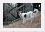 IMG_1875 * 3456 x 2304 * (4.12MB)