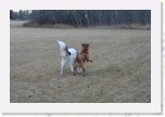 IMG_1885 * 3456 x 2304 * (3.5MB)