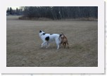 IMG_1886 * 3456 x 2304 * (3.7MB)