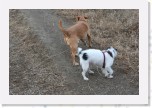 IMG_1889 * 3456 x 2304 * (4.19MB)