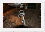 IMG_9048 * 3456 x 2304 * (3.14MB)