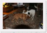 IMG_9049 * 3456 x 2304 * (3.25MB)