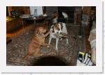 IMG_9050 * 3456 x 2304 * (3.15MB)
