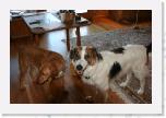 IMG_9051 * 3456 x 2304 * (3.13MB)