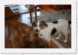 IMG_9053 * 3456 x 2304 * (3.32MB)
