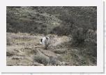 _MG_9026 * 3456 x 2304 * (4.73MB)