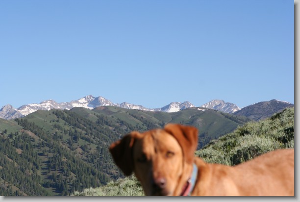 Click for the original image