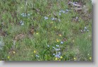 fergusonshadowlakemassacreandoctoberfestpeaks_039 * 3456 x 2304 * (4.44MB)