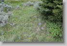 fergusonshadowlakemassacreandoctoberfestpeaks_040 * 3456 x 2304 * (6.0MB)