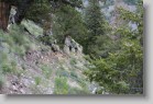 fergusonshadowlakemassacreandoctoberfestpeaks_044 * 3456 x 2304 * (3.6MB)