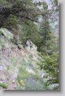 fergusonshadowlakemassacreandoctoberfestpeaks_045 * 3456 x 2304 * (3.57MB)