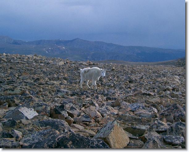 Click for the original image