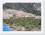 CIMG1205 * 2304 x 1712 * (1.84MB)