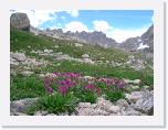 CIMG1212 * 2304 x 1712 * (1.85MB)