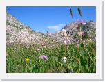 CIMG1224 * 2304 x 1712 * (1.84MB)