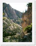 CIMG1642 * 1200 x 1600 * (1.77MB)