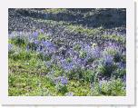 IMG_1041 * 2272 x 1704 * (3.37MB)