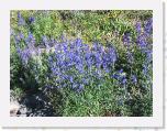 IMG_1042 * 2272 x 1704 * (3.03MB)