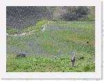 IMG_1072 * 2272 x 1704 * (2.89MB)